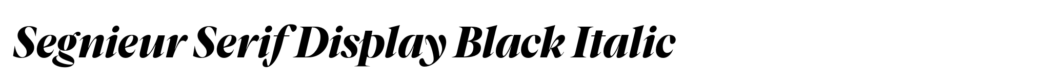 Segnieur Serif Display Black Italic image